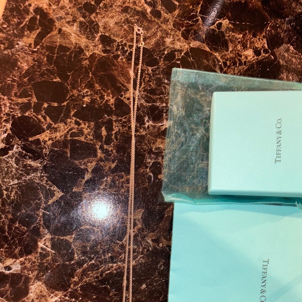 Tiffany & Co 24” chain